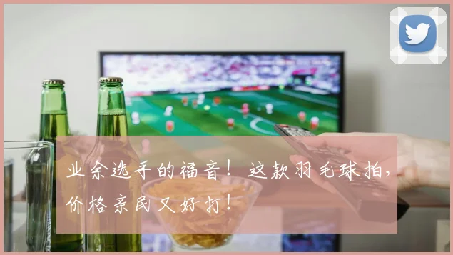 业余选手的福音！这款羽毛球拍，价格亲民又好打！