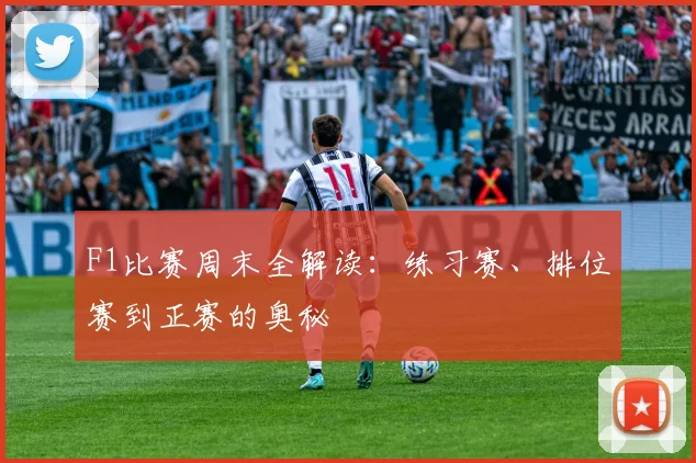 F1比赛周末全解读：练习赛、排位赛到正赛的奥秘